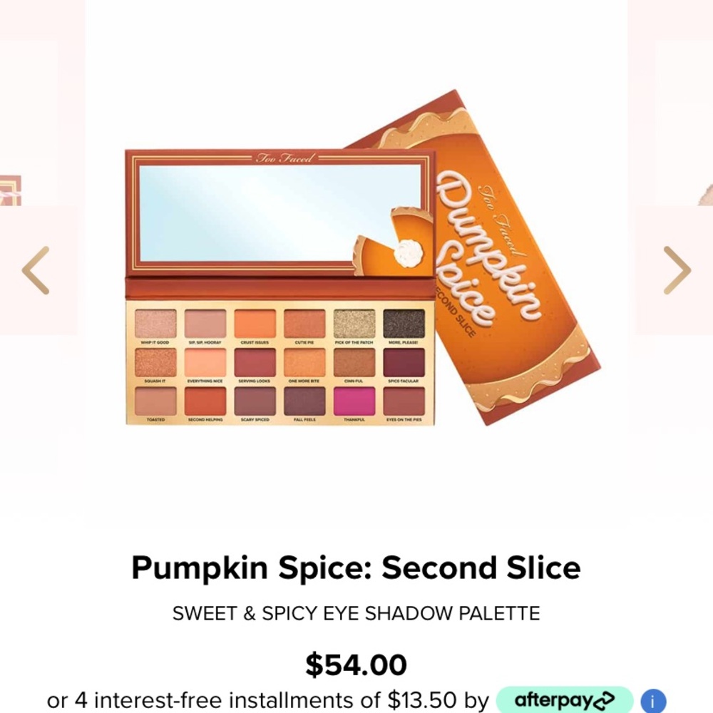 Brand new pumpkin 🎃 spice second slice Too Face make up.
